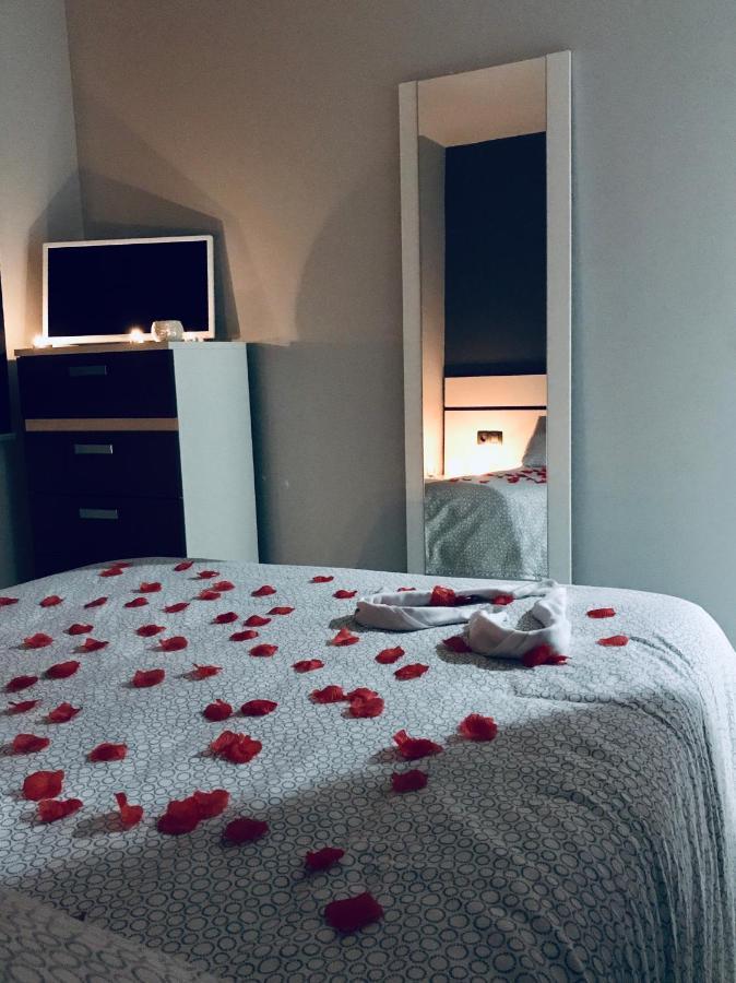 Apartment Lucushouse I